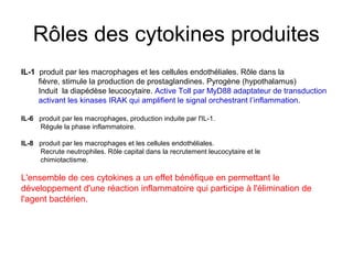 Rôles des cytokines produites
IL-1 produit par les macrophages et les cellules endothéliales. Rôle dans la
     fièvre, stimule la production de prostaglandines. Pyrogène (hypothalamus)
     Induit la diapédèse leucocytaire. Active Toll par MyD88 adaptateur de transduction
     activant les kinases IRAK qui amplifient le signal orchestrant l’inflammation.

IL-6 produit par les macrophages, production induite par l'IL-1.
     Régule la phase inflammatoire.

IL-8 produit par les macrophages et les cellules endothéliales.
      Recrute neutrophiles. Rôle capital dans la recrutement leucocytaire et le
chimiotactisme.

L'ensemble de ces cytokines a un effet bénéfique en permettant le
développement d'une réaction inflammatoire qui participe à l'élimination de
l'agent bactérien.
 