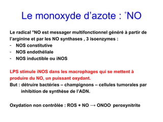 Le monoxyde d’azote : °NO
Le radical °NO est messager multifonctionnel généré à partir de
l’arginine et par les NO synthases , 3 isoenzymes :
- NOS constitutive
- NOS endothéliale
- NOS inductible ou iNOS

LPS stimule iNOS dans les macrophages qui se mettent à
produire du NO, un puissant oxydant.
But : détruire bactéries – champignons – cellules tumorales par
      inhibition de synthèse de l’ADN.


Oxydation non contrôlée : ROS + NO → ONOO- peroxynitrite
 