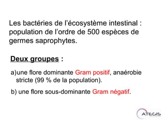 Les bactéries de l’écosystème intestinal :
population de l’ordre de 500 espèces de
germes saprophytes.

Deux groupes :
a)une flore dominante Gram positif, anaérobie
  stricte (99 % de la population).
b) une flore sous-dominante Gram négatif.
 