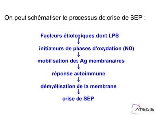 On peut schématiser le processus de crise de SEP :

Facteurs étiologiques dont LPS

            initiateurs de phases d'oxydation (NO)

            mobilisation des Ag membranaires

                 réponse autoimmune

             démyélisation de la membrane

                     crise de SEP
 