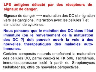 LPS antigène détecté par des récepteurs de
signaux de danger.
Signaux de danger        maturation des DC et migration
vers les ganglions, interaction avec les cellules T et
stimulation de cytokines.
Nous pensons que le maintien des DC dans l’état
immature (ou le renversement de la maturation
des DC ?) doit pouvoir ouvrir la voie à des
nouvelles thérapeutiques des maladies auto-
immunes.
Certains composés naturels empêchent la maturation
des cellules DC, parmi ceux-ci le FK 506, Tacrolimus,
immunosuppresseur isolé à partir du Streptomyces
tsukabaensis, offre de nouvelles perspectives.
 
