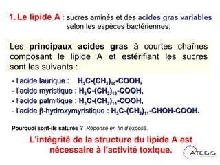 1. Le lipide A : sucres aminés et des acides gras variables
                    selon les espèces bactériennes.

Les principaux acides gras à courtes chaînes
composant le lipide A et estérifiant les sucres
sont les suivants :
- l’acide laurique : H3C-(CH2)10-COOH,
- l’acide myristique : H3C-(CH2)12-COOH,
- l’acide palmitique : H3C-(CH2)14-COOH,
- l’acide -hydroxymyristique : H3C-(CH2)11-CHOH-COOH.

Pourquoi sont-ils saturés ? Réponse en fin d’exposé.


      L'intégrité de la structure du lipide A est
           nécessaire à l'activité toxique.
 