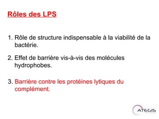 Rôles des LPS


1. Rôle de structure indispensable à la viabilité de la
   bactérie.

2. Effet de barrière vis-à-vis des molécules
   hydrophobes.

3. Barrière contre les protéines lytiques du
   complément.
 