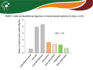 LER = 1.35 
Unfertilized maize 
Fert NP 
Fert NP+Manure 
Groundnut 
DUL-groundnut 
Pigeonpea 
DUL-pigeonpea 
Maize or legume grain yields (Mg/ha) 
0 
1 
2 
3 
4 
5 
YEAR 1: Sole or doubled-up legumes in maize based systems (4 sites, n=12) 
 