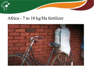 Africa -7 to 10 kg/Ha fertilizer  