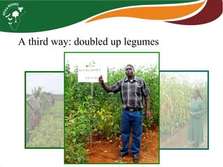 A third way: doubled up legumes  