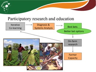 Participatory research and educationIterativeCo-learning 
Diagnosis & 
Systems Analysis 
Best bets 
On-farm 
research 
Farmer 
Capacity 
Better bet options  