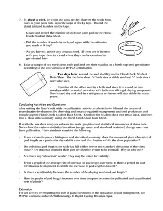 7. In about a week, or when the pods are dry, harvest the seeds from
each of your pods onto separate loops of sticky tape. Record the
plant and pod number on the tape.
- Count and record the number of seeds for each pod on the Floral
Clock Student Data Sheet.
- Did the number of seeds in each pod agree with the estimates
you made at 9 dap?
- As you harvest, notice any unusual seed. If these are of interest
with you, tape them to a card where they can be examined or
germinated later.
8. Take a sample of two seeds from each pod and test their viability in a bottle cap seed germinator
according to the instructions in WFPID Germination.
- Two days later, record the seed viability on the Floral Clock Student
Data Sheet. On the data sheet, "+" indicates a viable seed and "-" indicates a
nonviable seed.
- Combine all the other seed in a bulk and store it in a seed or coin
envelope within a sealed container with indicator silica gel, drying compound.
Seed stored dry and cool in a refrigerator or freezer will stay viable for many
years.
Concluding Activities and QuestionsConcluding Activities and QuestionsConcluding Activities and QuestionsConcluding Activities and QuestionsConcluding Activities and Questions
After setting the floral clock with the pollination activity, students have followed the course of
reproductive development by observing and measuring pistil enlargement and seed production and
completing the Floral Clock Student Data Sheet. Combine the student data into group data, and then
into a class data summary using the Floral Clock Class Data Sheet.
If available, use data analysis software to create graphical and statistical summaries of class data.
Notice how the various statistical notations (range, mean and standard deviation) change over time
from pollination. Have students consider the following:
- From a class frequency histogram and statistical summary, does the measured plant character of
pod length on a particular day exhibit a normal distribution within the class population?
- Do individual pod lengths for each day fall within one or two standard deviations of the class
mean? Do students consider their post-fertilization events to be normal? Why or why not?
- Are there any "abnormal" seeds? They may be tested for viability.
- From a graph of the average rate of increase in pod length over time, is there a period in post-
fertilization development in which the increase in pod length is fastest?
- Is there a relationship between the number of developing seed and pod length?
- How do graphs of pod length increase over time compare between the pollinated and unpollinated
sets of plants?
ExtensionExtensionExtensionExtensionExtension
For an activity investigating the role of plant hormones in the regulation of pod enlargement, see
WFPID Hormone-Induced Parthenocarpy in Rapid-Cycling Brassica rapa.
 