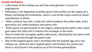 Double fertilization
• is the fusion of the embryo sac with two male gametes. It occurs in
angiosperms.
• Pollination is the deposition of pollen grains from anthers on the stigma of a
flower, facilitating the fertilization, which is one of the major events of sexual
reproduction of plants.
• Pollen contains two cells, a tube cell, which produces the pollen tube, and a
generative cell, which produces two sperm cells.
• Pollen grains are germinated on the stigma, producing the pollen tube, which
goes down the style until it reaches the micropyle in the ovule.
• Once it meets the micropyle, pollen tube bursts, releasing the two sperm cells
which are carried through the pollen tube.
• One of the haploid sperm cells is fertilized with the haploid egg cell in the
embryo sac, while the other haploid sperm cell fertilizes the central cell,
which is also found in the embryo sac of the female gametophyte.
 