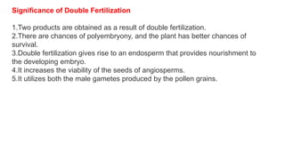 Significance of Double Fertilization
1.Two products are obtained as a result of double fertilization.
2.There are chances of polyembryony, and the plant has better chances of
survival.
3.Double fertilization gives rise to an endosperm that provides nourishment to
the developing embryo.
4.It increases the viability of the seeds of angiosperms.
5.It utilizes both the male gametes produced by the pollen grains.
 