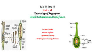 B.Sc.- II, Sem- III
Unit – VI
Embryology of Angiosperm
Double Fertilization and triplefusion
Dr. SwatiPundkar
AssistantProfessor
Departmnetof Botany
ShriShivajiScienceCollege, Amravati
 