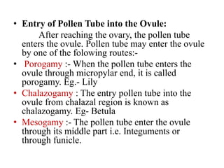 • Entry of Pollen Tube into the Ovule:
After reaching the ovary, the pollen tube
enters the ovule. Pollen tube may enter the ovule
by one of the folowing routes:-
• Porogamy :- When the pollen tube enters the
ovule through micropylar end, it is called
porogamy. Eg.- Lily
• Chalazogamy : The entry pollen tube into the
ovule from chalazal region is known as
chalazogamy. Eg- Betula
• Mesogamy :- The pollen tube enter the ovule
through its middle part i.e. Integuments or
through funicle.
 