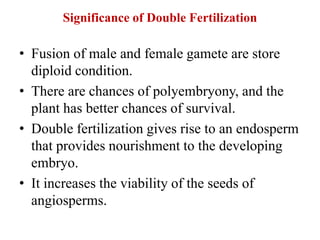 Significance of Double Fertilization
• Fusion of male and female gamete are store
diploid condition.
• There are chances of polyembryony, and the
plant has better chances of survival.
• Double fertilization gives rise to an endosperm
that provides nourishment to the developing
embryo.
• It increases the viability of the seeds of
angiosperms.
 