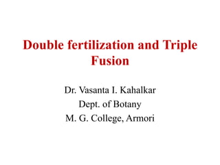 Double fertilization and Triple
Fusion
Dr. Vasanta I. Kahalkar
Dept. of Botany
M. G. College, Armori
 