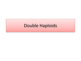 Double Haploids
 