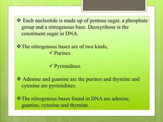  Each nucleotide is made up of pentose sugar, a phosphate
group and a nitrogenous base. Deoxyribose is the
constituent sugar in DNA.
The nitrogenous bases are of two kinds,
 Purines
 Pyrimidines
 Adenine and guanine are the purines and thymine and
cytosine are pyrimidines.
The nitrogenous bases found in DNA are adenine,
guanine, cytosine and thymine.
 