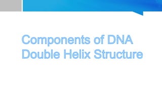 • DNA strands are composed of monomers called nucleotides.
• These monomers are often referred to as bases because they
co...