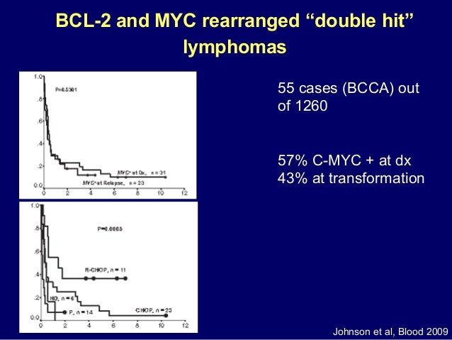Double Hit And Other Molecularly Defined Large Cell Lymphomas