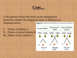 Cont…
The pattern of lines that from can be interpreted to
determine whether the antigen are same or difference as
illustrated below.
I. Pattern of identity A
II. Pattern of partial identity B
III. Pattern of non identity C
 