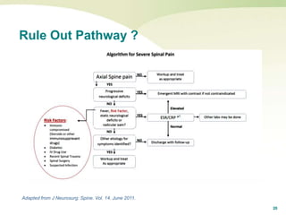 20
Rule Out Pathway ?
Adapted from J Neurosurg: Spine. Vol. 14. June 2011.
 