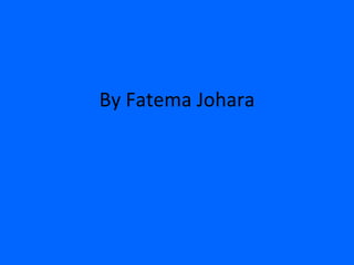 By Fatema Johara 