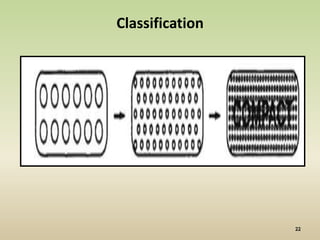 Classification
 