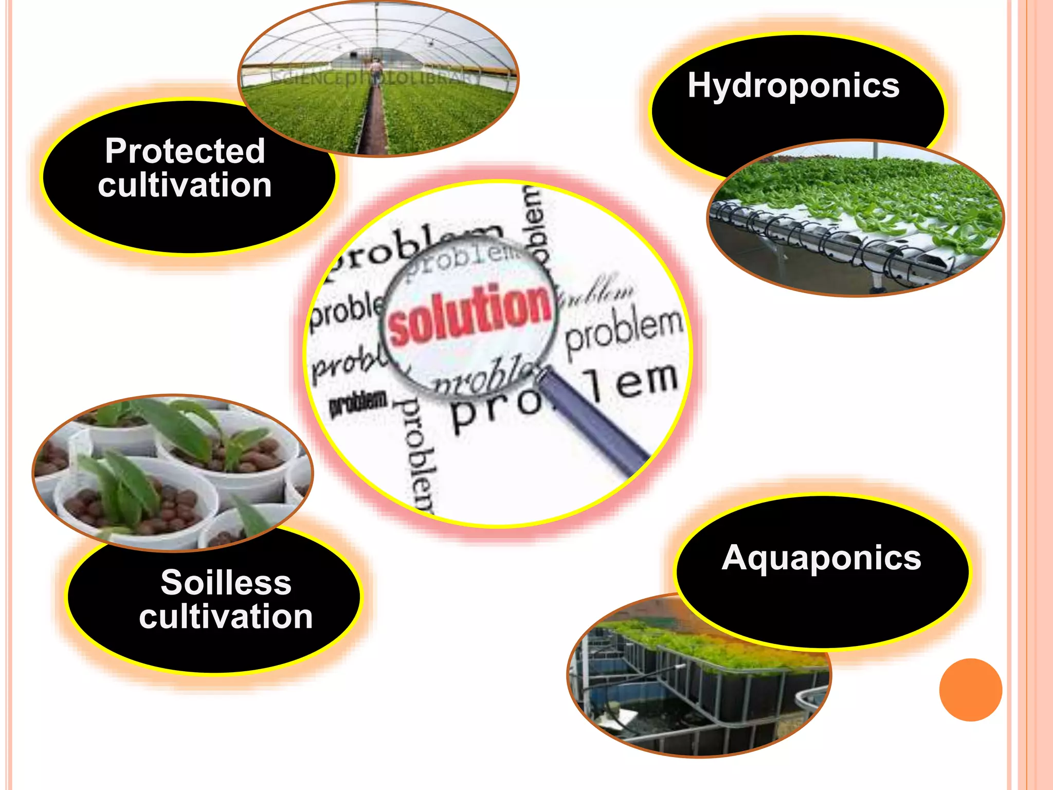 Protected
cultivation
Soilless
cultivation
Hydroponics
Aquaponics
 