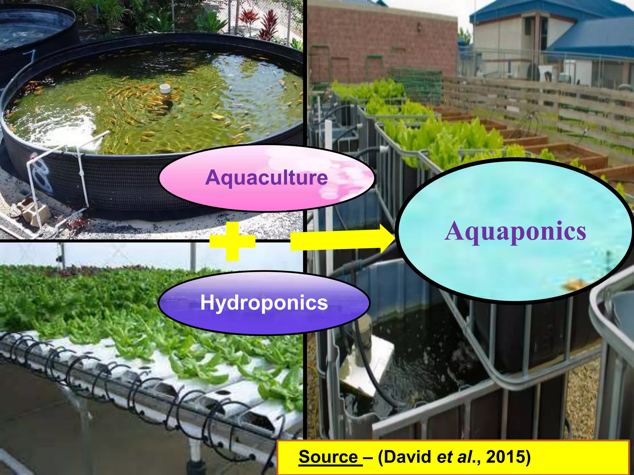 Aquaculture
Hydroponics
Aquaponics
Source – (David et al., 2015)
 