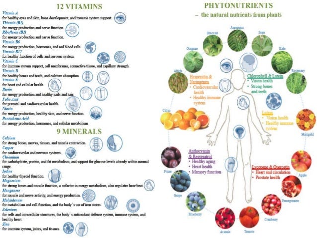 chart for vitamins om for 092013 xperience Double chart for vitamins om for 092013 xperience Double