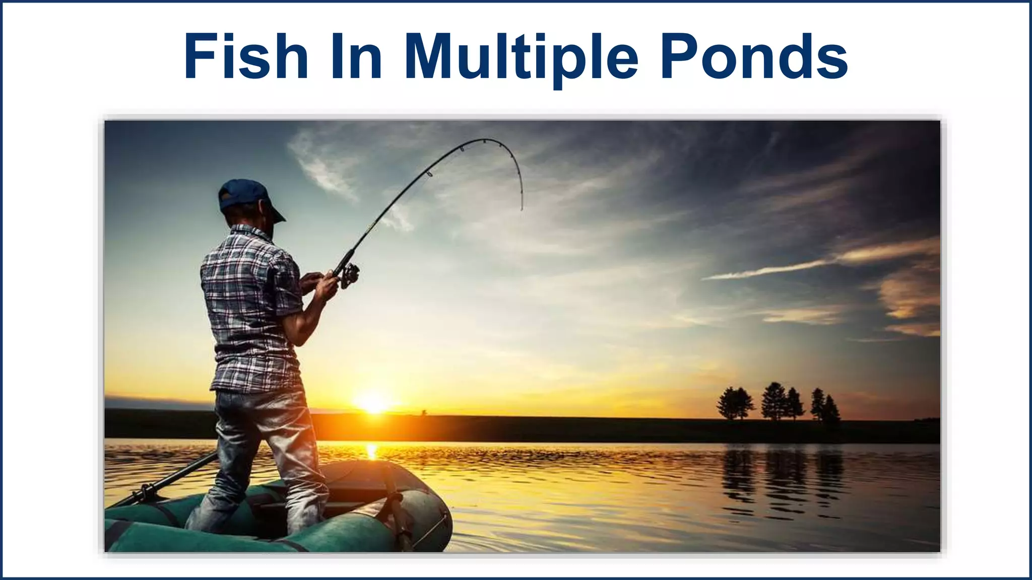 Fish In Multiple Ponds
 