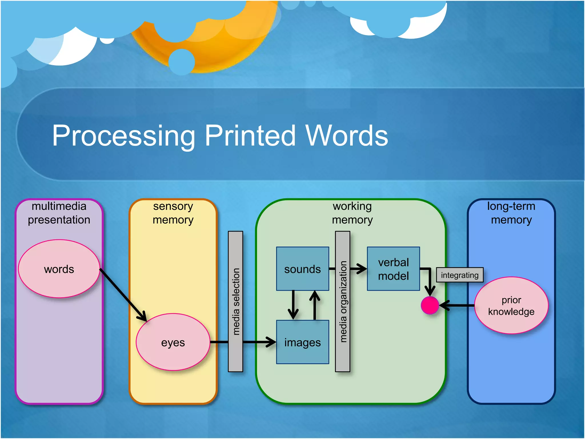 Processing Printed Wordsmultimedia presentationsensory memoryworking memorylong-term memorywordssoundsverbal modelintegratingprior knowledgemedia selectionmedia organizationeyesimages