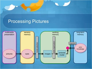 Processing Picturesmultimedia presentationsensory memoryworking memorylong-term memoryintegratingprior knowledgemedia selectionmedia organizationpictureseyesimagespictorial model