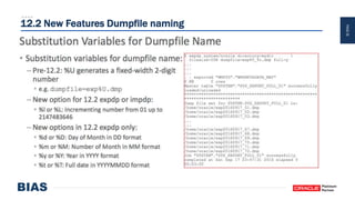 PAGE29
12.2 New Features Dumpfile naming
 