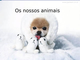 Os nossos animais 