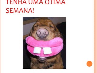 TENHA UMA ÓTIMA SEMANA! 