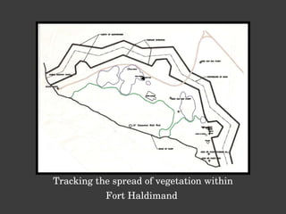 Tracking the spread of vegetation within Fort Haldimand  