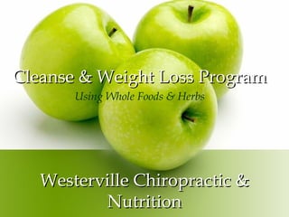 Westerville Chiropractic & Nutrition Cleanse & Weight Loss Program Using Whole Foods & Herbs 