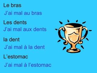 Le bras Les dents la dent L’estomac J’ai mal au bras J’ai mal aux dents J’ai mal à la dent J’ai mal à l’estomac 