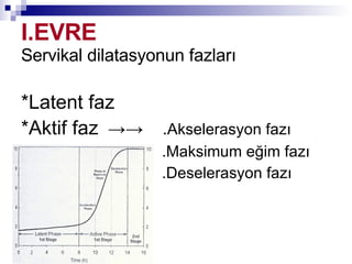 I.EVRE   Servikal dilatasyonun fazları *Latent faz  *Aktif faz   ->->   . Akselerasyon fazı .Maksimum eğim fazı .Deselerasyon fazı 