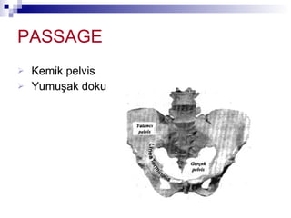 PASSAGE Kemik pelvis  Yumuşak doku 