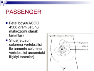 PASSENGER Fetal boyut(ACOG 4500 gram üstünü makrozomi olarak tanımlar) Situs(fetusun columna vertebralisi ile annenin columna vertebralisi arasındaki ilişkiyi tanımlar). 
