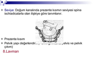 Seviye:   Doğum kanalında prezente kısmın seviyesi spina ischiadicalarla olan ilişkiye göre tanımlanır. Prezente kısım  Pelvik yapı değerlendirilir(Pelvik girim,orta pelvis ve pelvik çıkım) 8.Lavman  