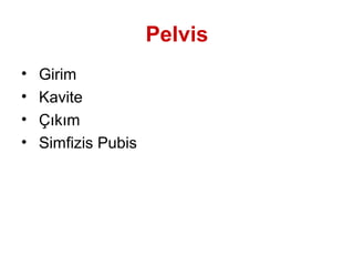 Pelvis
• Girim
• Kavite
• Çıkım
• Simfizis Pubis
 