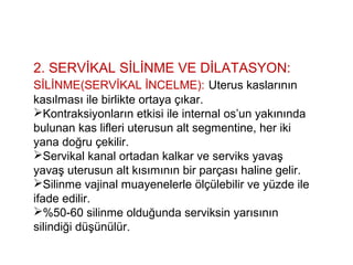2. SERVİKAL SİLİNME VE DİLATASYON:
SİLİNME(SERVİKAL İNCELME): Uterus kaslarının
kasılması ile birlikte ortaya çıkar.
Kontraksiyonların etkisi ile internal os’un yakınında
bulunan kas lifleri uterusun alt segmentine, her iki
yana doğru çekilir.
Servikal kanal ortadan kalkar ve serviks yavaş
yavaş uterusun alt kısımının bir parçası haline gelir.
Silinme vajinal muayenelerle ölçülebilir ve yüzde ile
ifade edilir.
%50-60 silinme olduğunda serviksin yarısının
silindiği düşünülür.
 