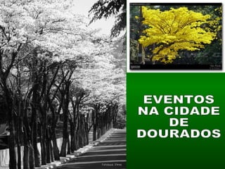 EVENTOS NA CIDADE DE  DOURADOS 