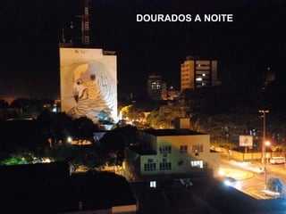 DOURADOS A NOITE 