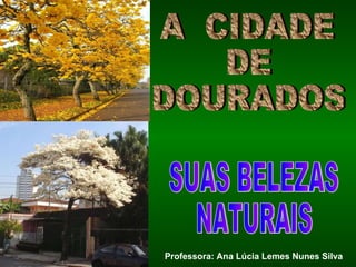 A  CIDADE  DE DOURADOS SUAS BELEZAS  NATURAIS Professora: Ana Lúcia Lemes Nunes Silva 