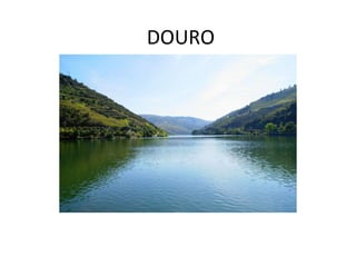 DOURO
 