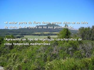 A maior parte da flora deste parque situa-se no leito de cheia do rio Douro ou na sua proximidade; Apresenta um tipo de vegetação característica do clima temperado mediterrâneo 