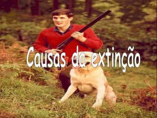Causas da extinção 